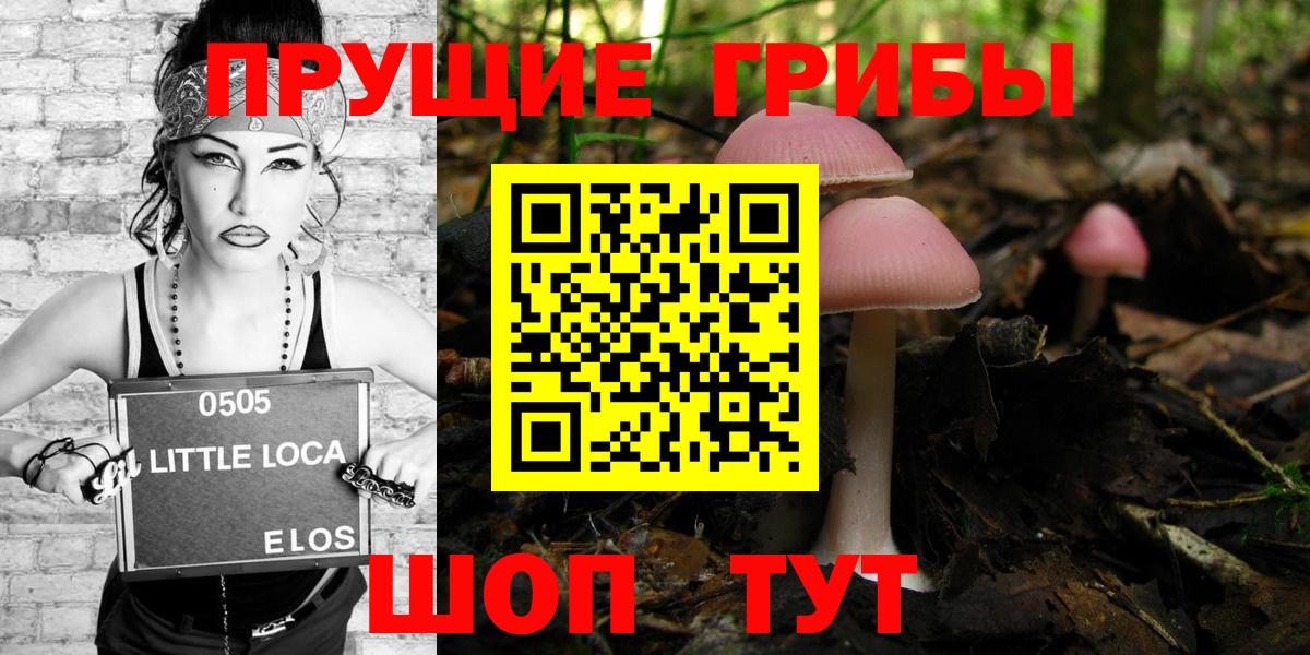 Галлюциногенные грибы Magic Shrooms  продажа наркотиков  Десногорск  Вход с VPN 
